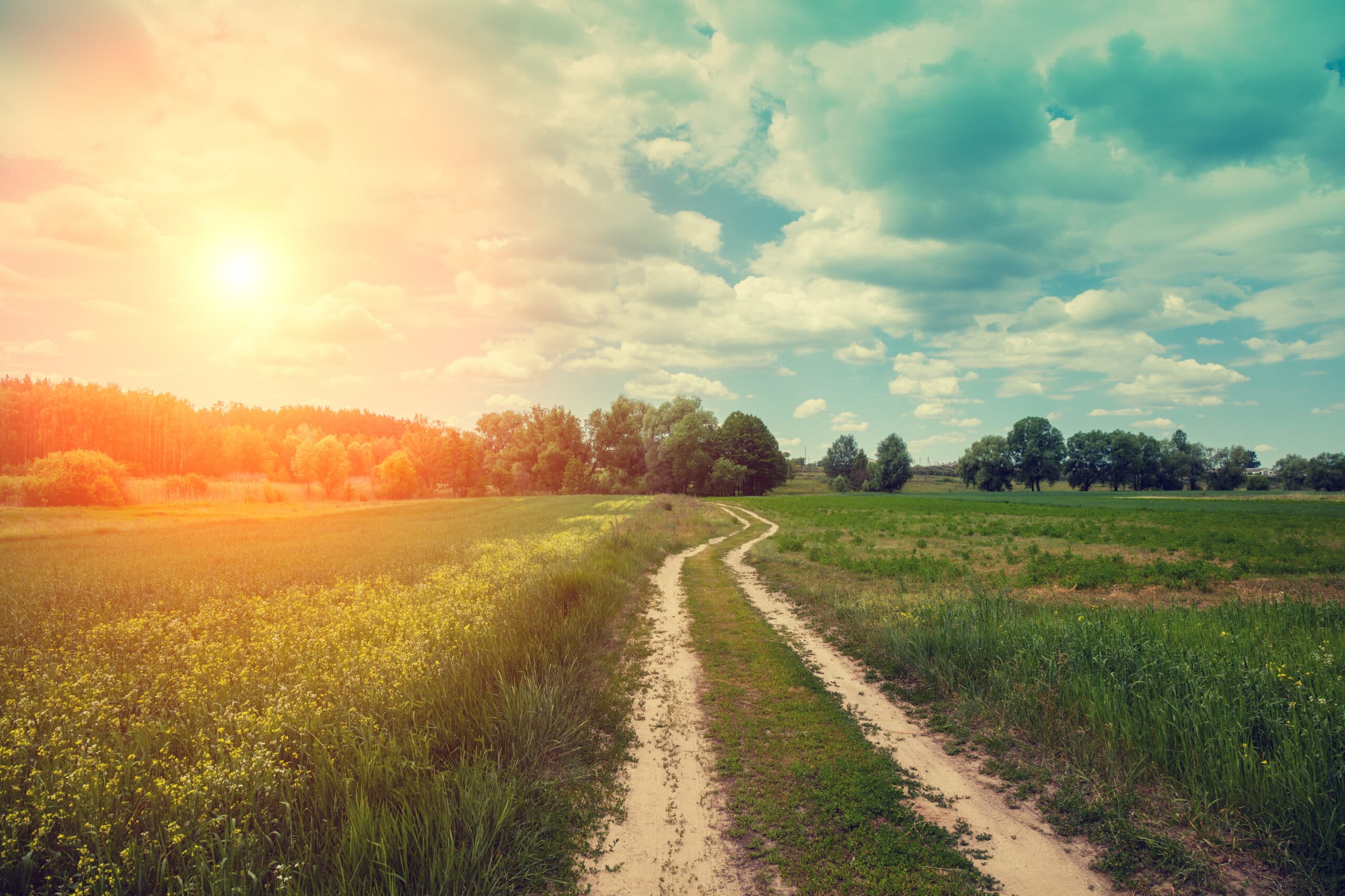 A dirt road winding through green fields under a bright evening sky